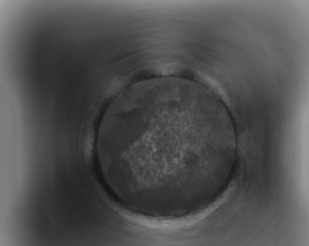 X0000094960018200712061321