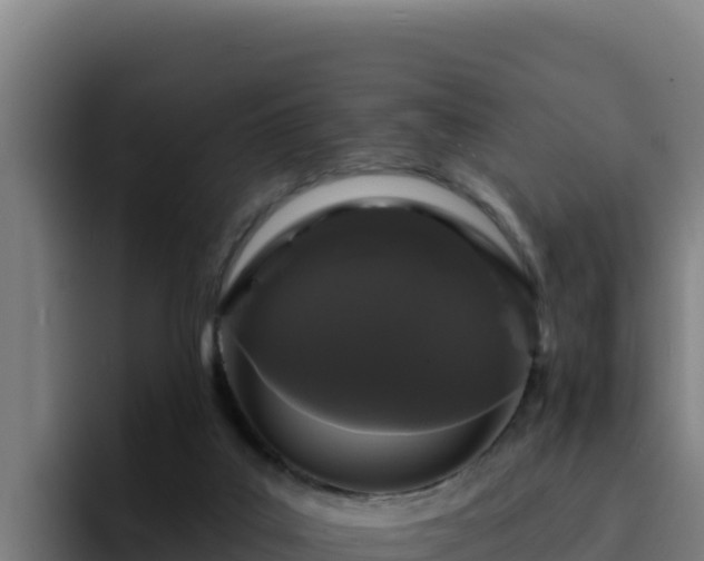 X0000094960019200712061320