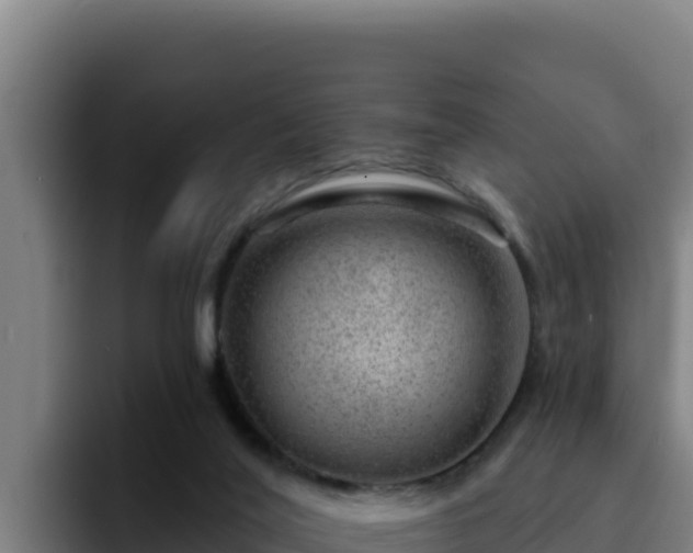 X0000094960020200712061320