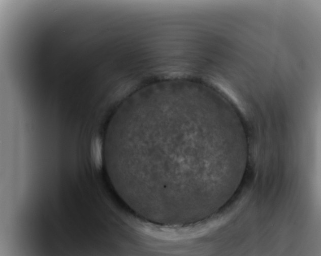 X0000094960022200712061320