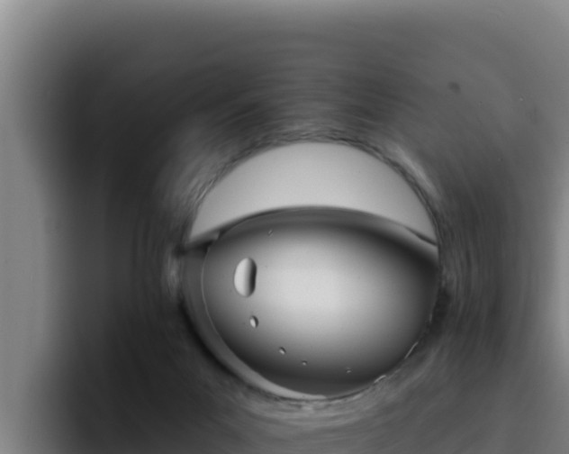 X0000094960023200712061320