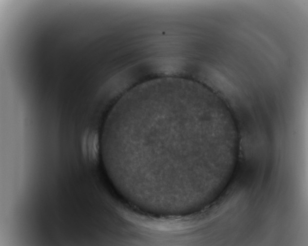 X0000094960024200712061320