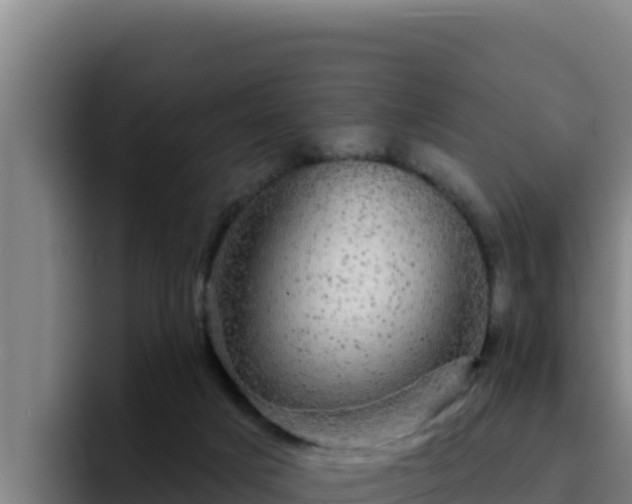 X0000094960025200712061320