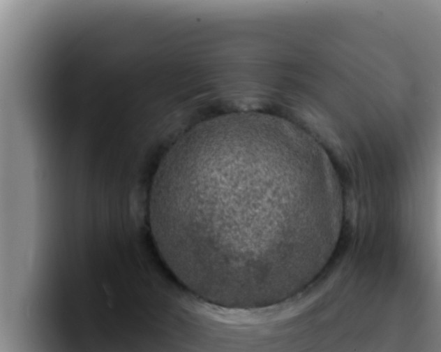 X0000094960030200712061320