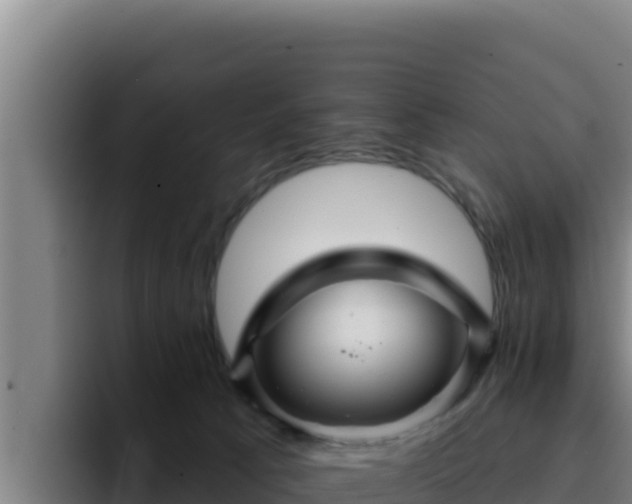 X0000094960033200712061320