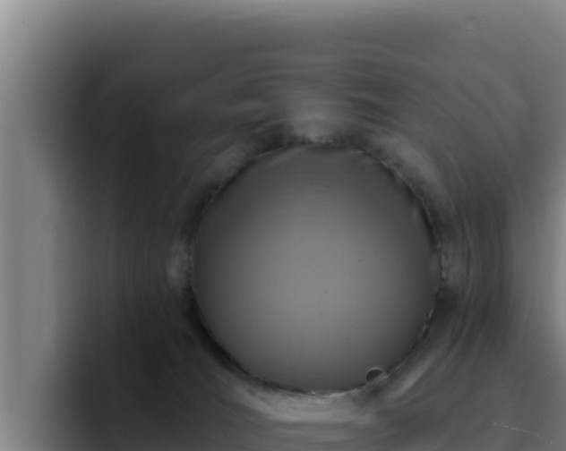 X0000094960036200712061320