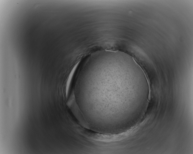 X0000094960037200712061320