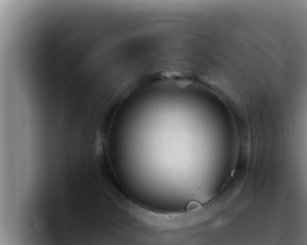 X0000094960038200712061320