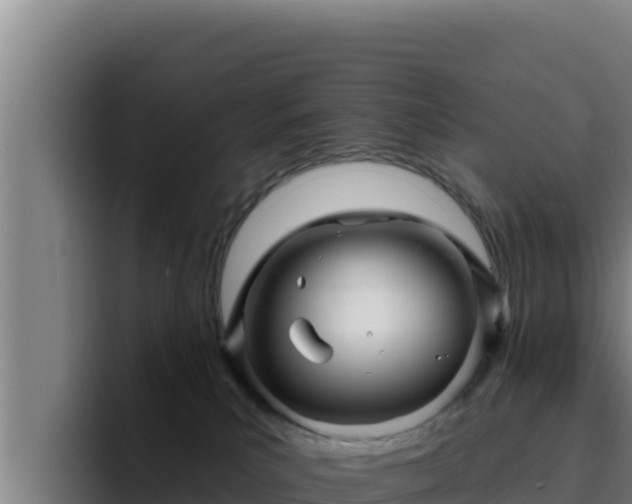 X0000094960039200712061320