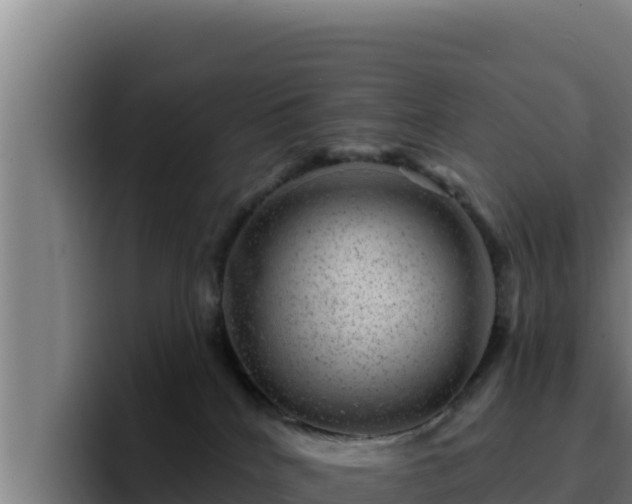 X0000094960040200712061320