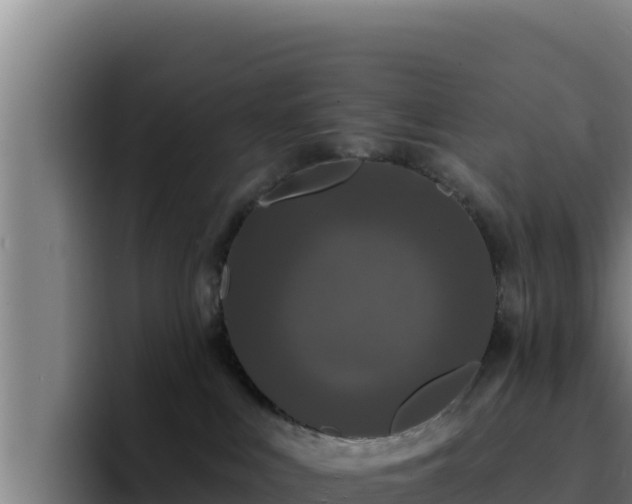 X0000094960043200712061320