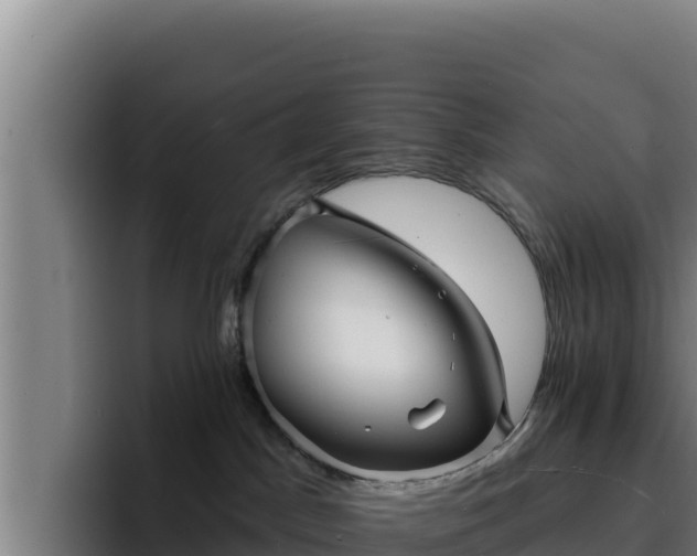 X0000094960045200712061320