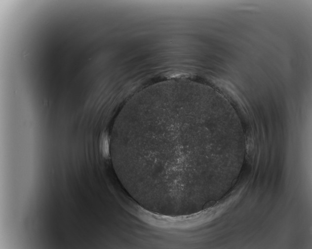 X0000094960046200712061320