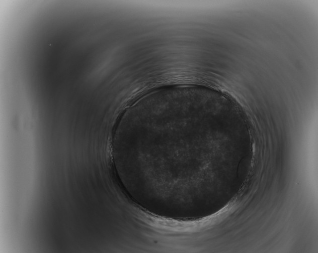 X0000094960048200712061320