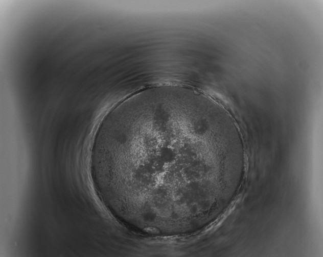 X0000094960049200712061319