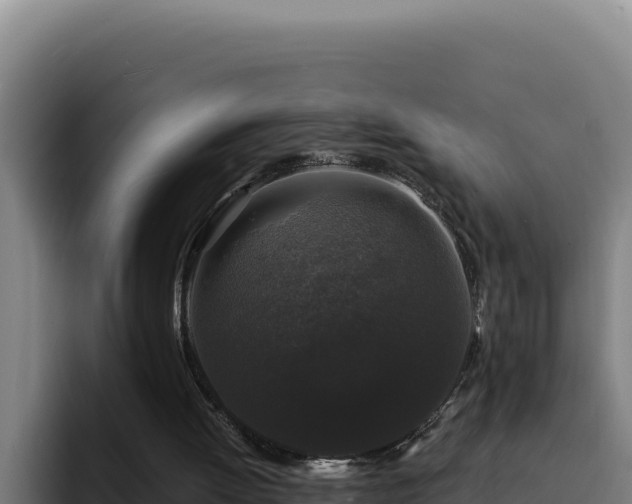 X0000094960052200712061320