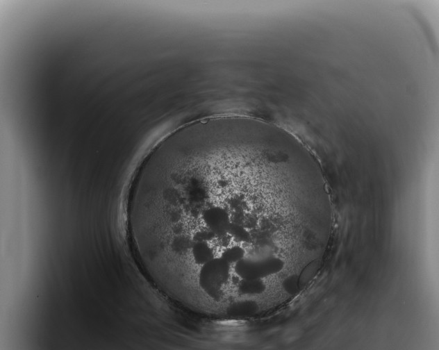 X0000094960053200712061320