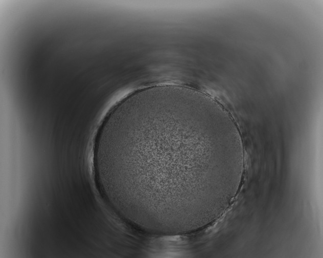 X0000094960054200712061320