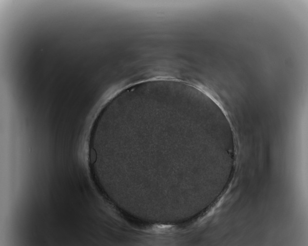 X0000094960055200712061320