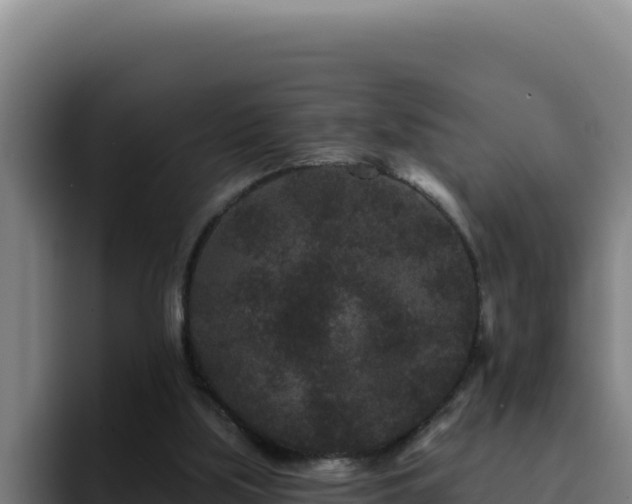 X0000094960059200712061320