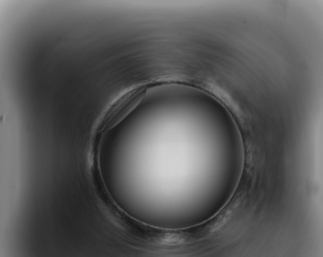 X0000094960060200712061320