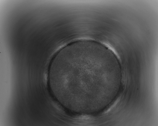 X0000094960063200712061320