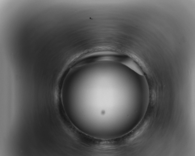 X0000094960064200712061320