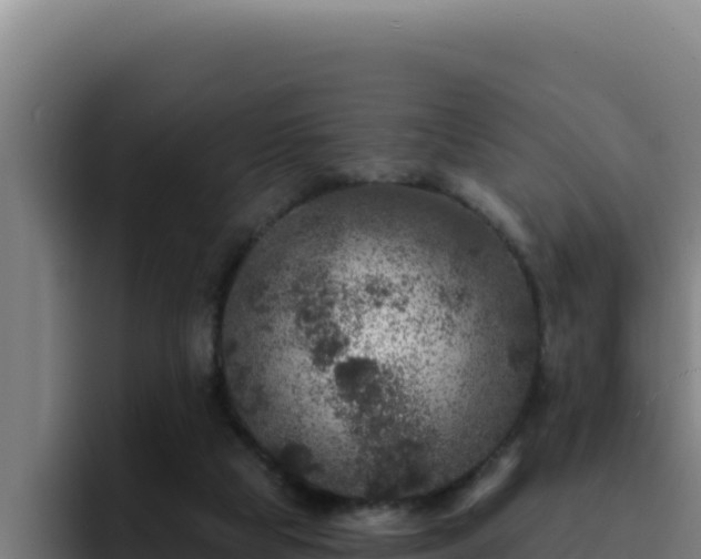 X0000094960065200712061320