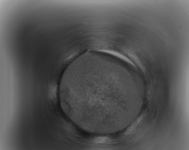 X0000094960066200712061320