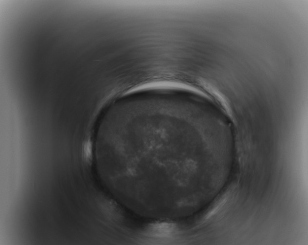 X0000094960067200712061320