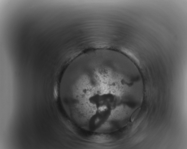 X0000094960069200712061320