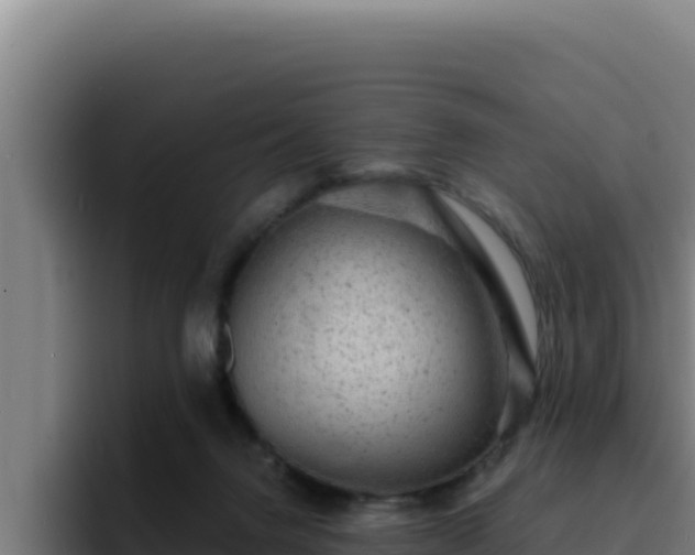 X0000094960072200712061320