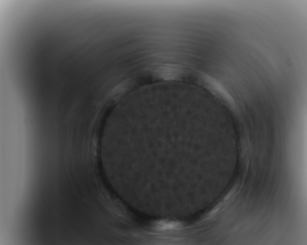 X0000094960073200712061320