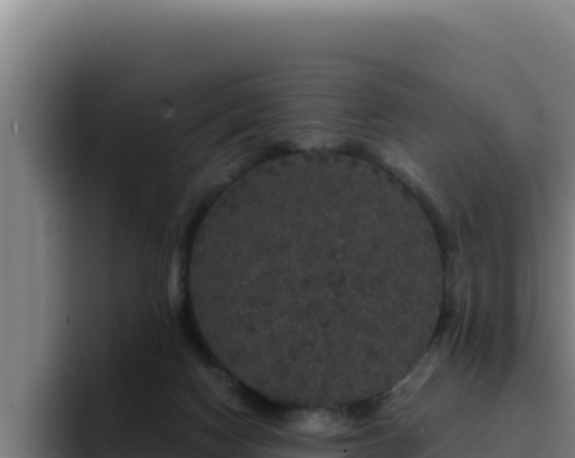 X0000094960074200712061320