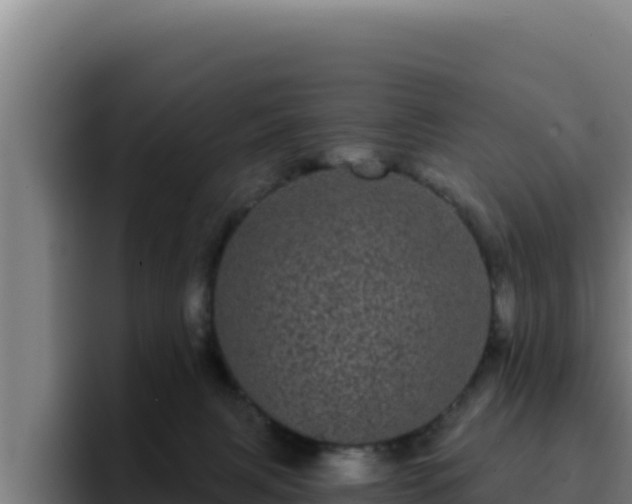 X0000094960079200712061320