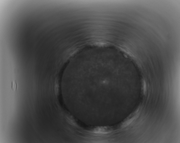 X0000094960080200712061320