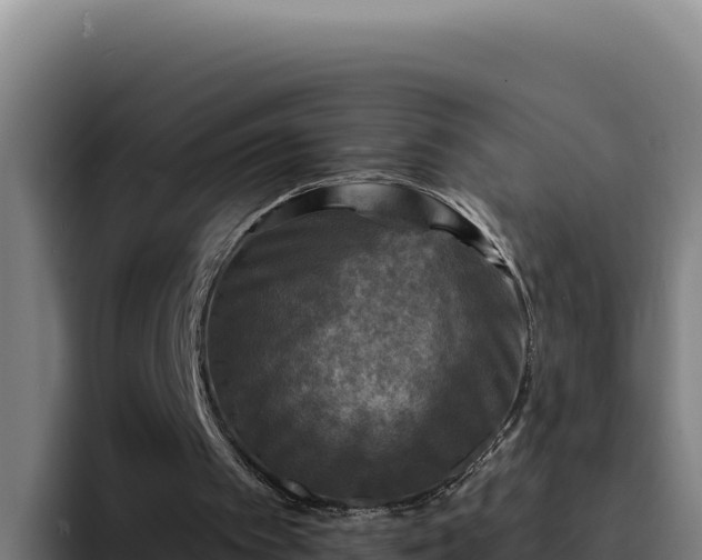 X0000094960097200712061319