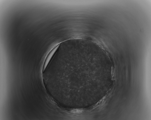 X0000094960099200712061319