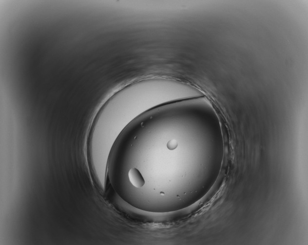 X0000094960100200712061319