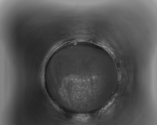 X0000094960101200712061319