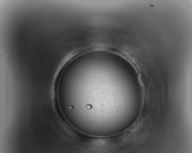 X0000094960102200712061319