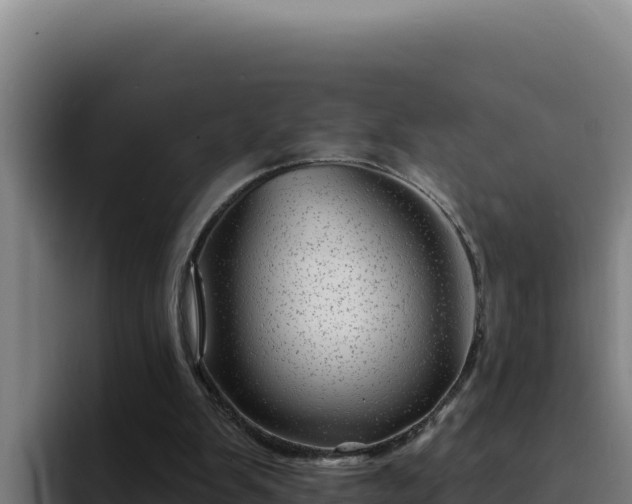 X0000094960103200712061319