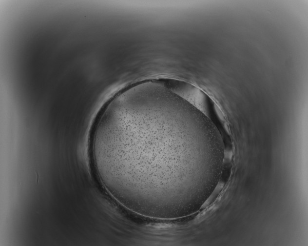 X0000094960104200712061319