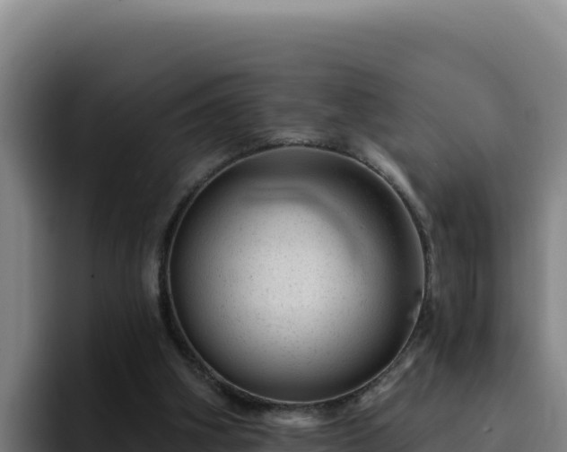 X0000094960106200712061319