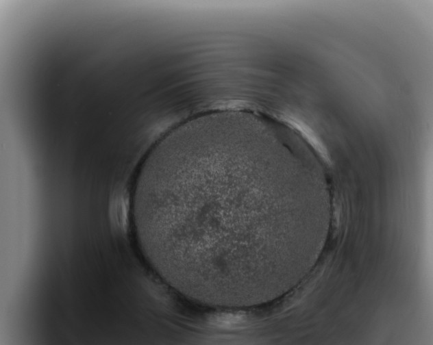 X0000094960110200712061319