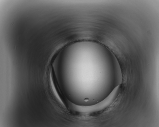 X0000094960112200712061319