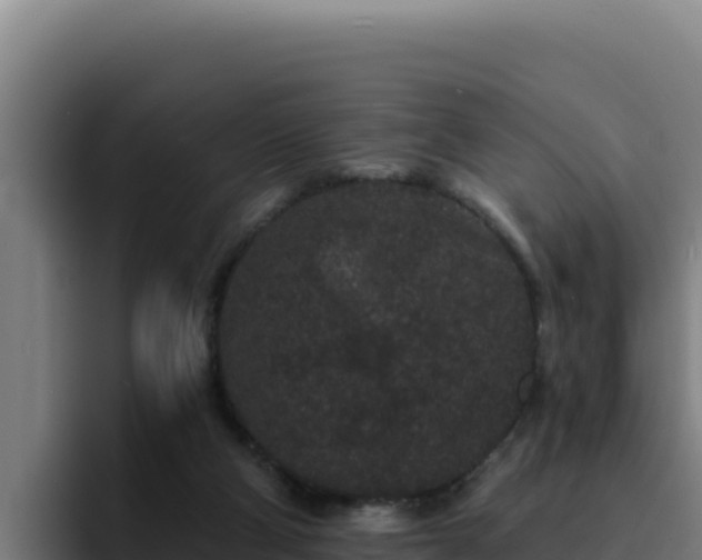 X0000094960114200712061319