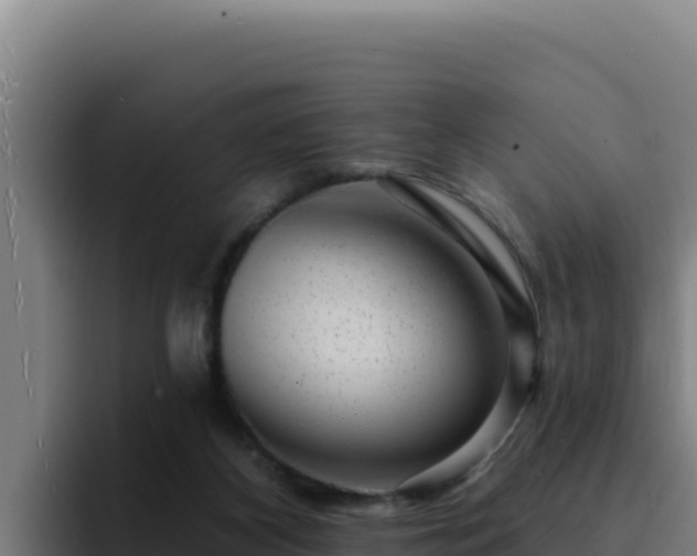 X0000094960116200712061319