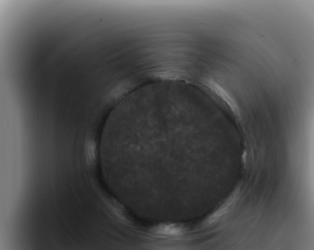 X0000094960117200712061319