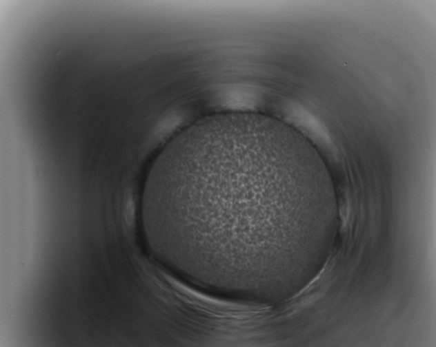 X0000094960120200712061319